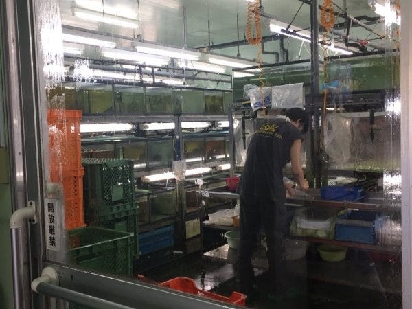 １階の温室です。