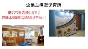 企業主導型保育所