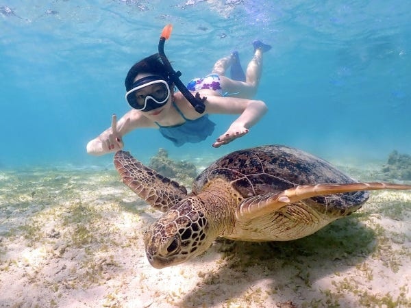 こんなに綺麗な海で泳ぎながら、お金も稼げちゃいます♪