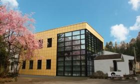 玄関入口付近。春は枝垂桜が花咲き、秋はカラフルな紅葉。