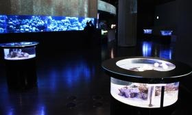 水族館へ納品。歩き疲れた人を癒すテーブル水槽。