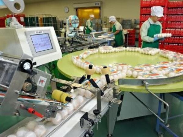 卵製造工場の製造補助スタッフ（未経験応募OK・経歴不問）