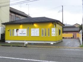 Ｐｉｎｅ Ｃｏｌｏｒ 外観