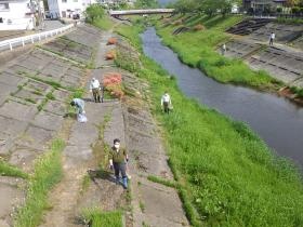 あおもり水辺サポートによる清掃活動