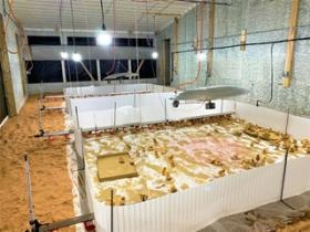 鶏舎内（雛入れ）