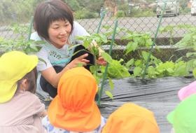 うなま 野菜が好きになる魔法の畑『食べる力』は『生きる力』に