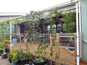 事業所の情報＿００８