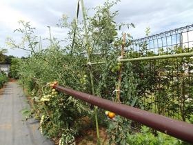 事業所の情報＿０１０