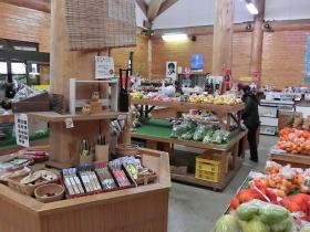 事業所の情報＿００５