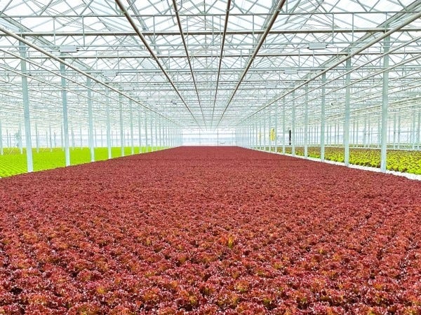 食品製造業の品質管理スタッフ（未経験者歓迎）