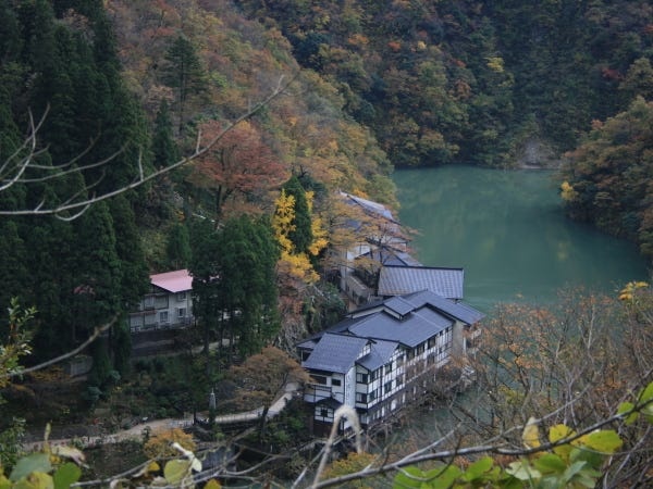 調理・料理長候補（調理師免許・和食のご経験者歓迎）