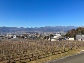 ワイナリーとその周辺の自社ぶどう畑