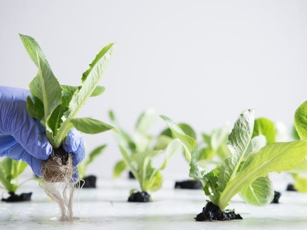 研究開発部門での作業アシスタントを募集しています！