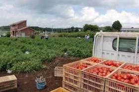 【作業風景】障がい者日中支援事業所「もちの木作業所」