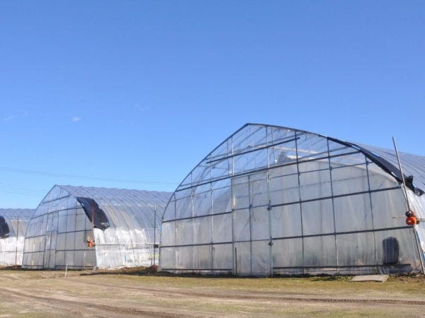 いちご農園の農作業スタッフ・いちご農園スタッフ（土日勤務できる方歓迎・未経験OK）