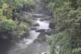 会社近くを流れる清流佐々川の音に心癒されますよ