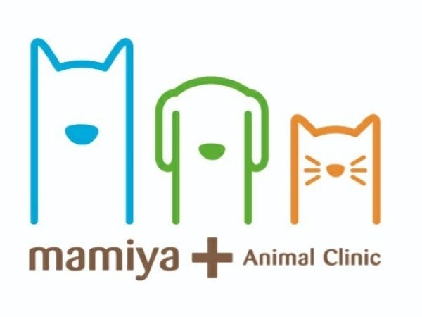 動物看護スタッフ（ブランクOK・WワークOK）