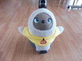 施設のアイドル、そらくんです。