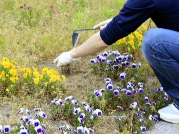 支援員・就労支援B型事業所スタッフ・介護福祉士（生かせる資格・人とコミュニケーションを取るのが好きな方大歓迎）