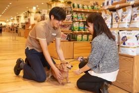 ご来店わんちゃん、ねこちゃんへの対応があります。