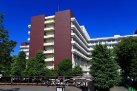 聖マリアンナ医科大学病院