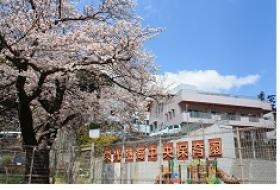 園庭の桜と園舎