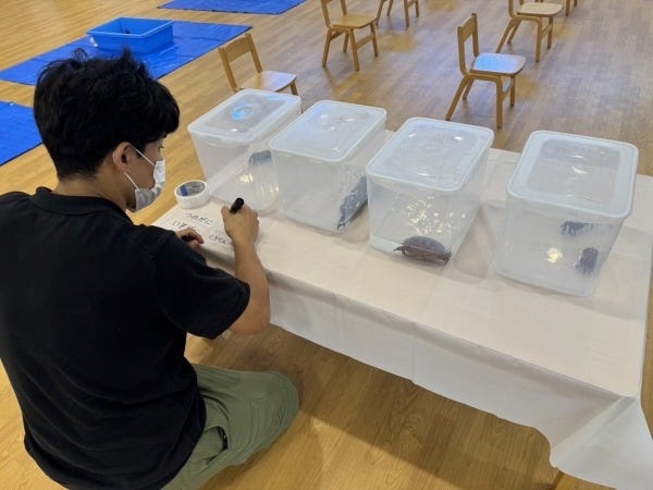 移動水族館イベントのイベントスタッフ管理責任者（未経験歓迎）