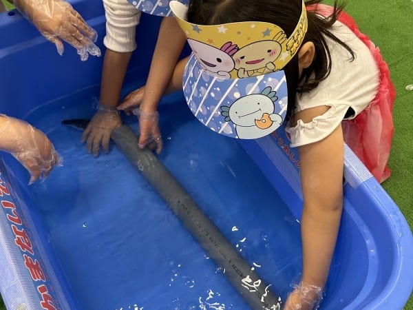 移動水族館イベントのイベントスタッフ管理責任者（未経験歓迎）