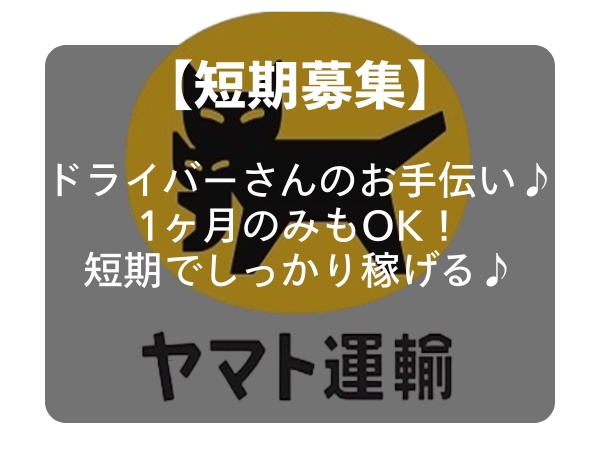 本業のドライバー助手