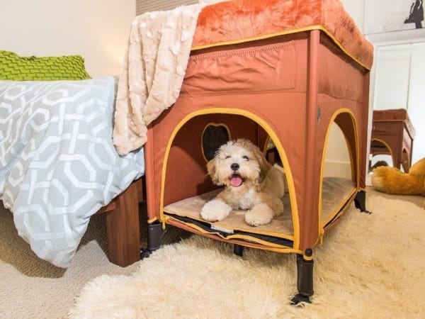 社員販売もちろんあり