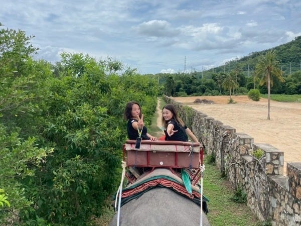 象にも乗りました！タイ研修！2025年7月！