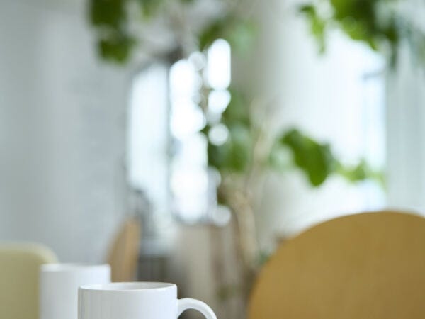 昼食や休憩するスペースもあり。観葉植物も多め！たまにはお香を炊いてリラックスも！