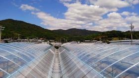 アグリ工事 ビニールハウス建設
