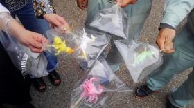 岡崎桜まつり 親睦会