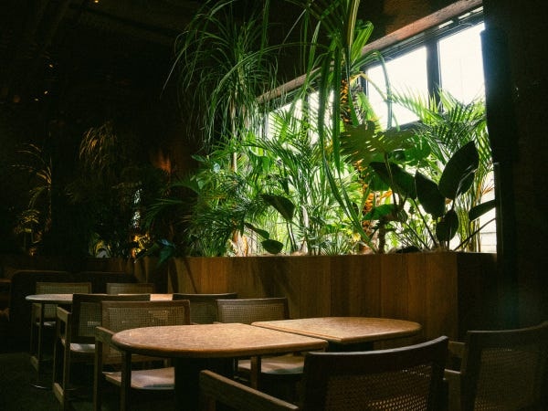 ミュージックセレクター