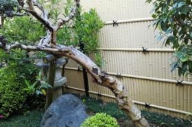 浴室からの景色