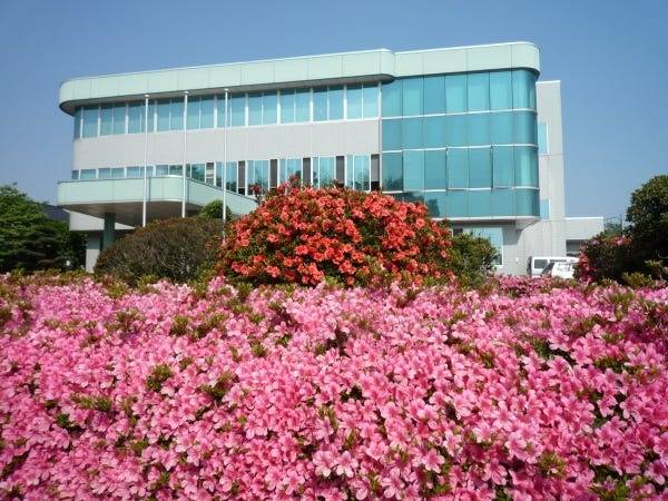 春先はつつじが綺麗なロータリー