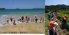 じゃがいも堀・海あそび