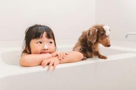 ブランドイメージ写真です。