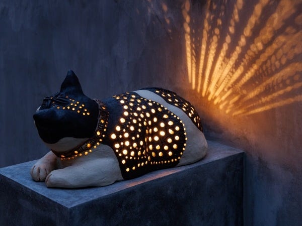 猫ちゃんコンセプトの物件もあります！