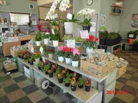 事業所の情報＿００３