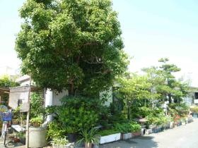 事業所の情報＿００５