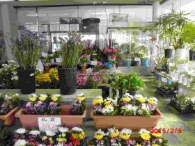 事業所の情報＿００２