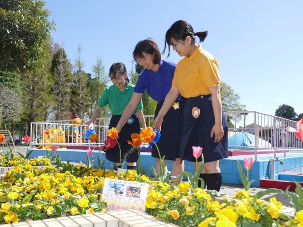 幼稚園の事務スタッフ（幼稚園免許をお持ちの方優遇・未経験者大歓迎）