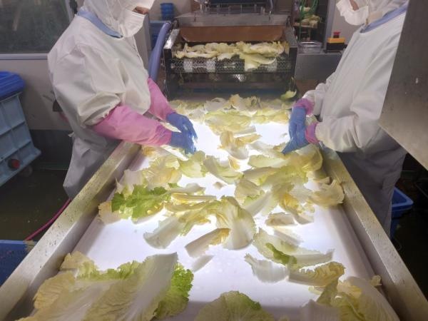 虫・傷みが無いかしっかりと検品