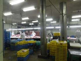 事業所の情報＿００５