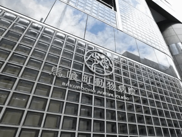 獣医師（獣医師免許）