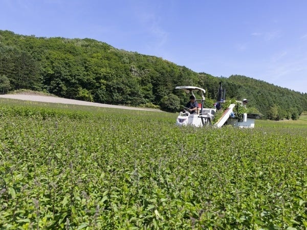 自然豊かな滝上町に移住しませんか？