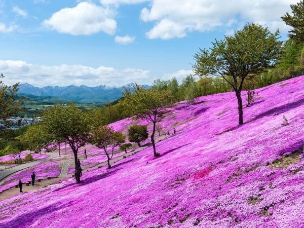 滝上町で活躍しませんか？