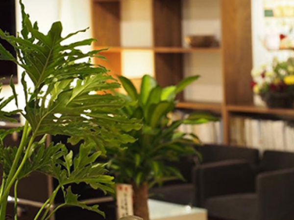 法人営業アシスタント（基本的なPCスキル）